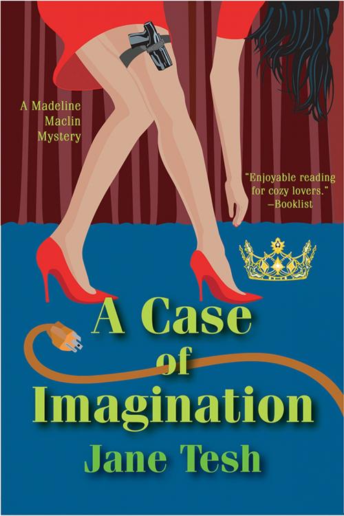 Cover of the book A Case of Imagination by Jane Tesh, Sourcebooks