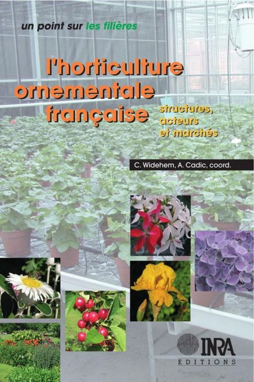 Cover of the book L'horticulture ornementale française by Alain Cadic, Caroline Widehem, Quae