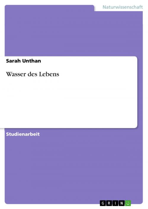 Cover of the book Wasser des Lebens by Sarah Unthan, GRIN Verlag
