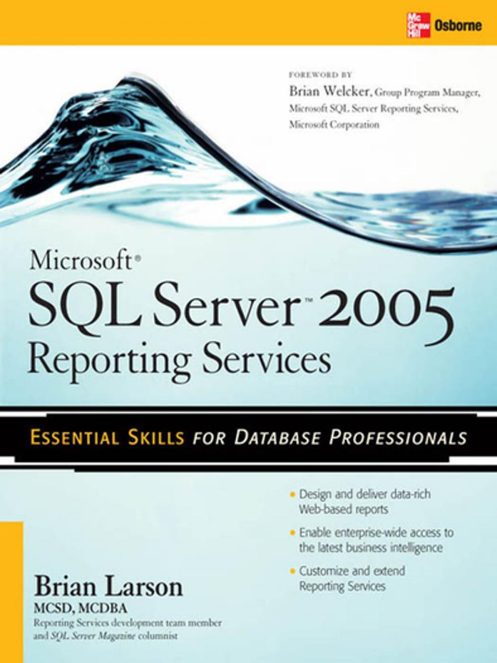 Big bigCover of Microsoft SQL Server 2005 Reporting Services