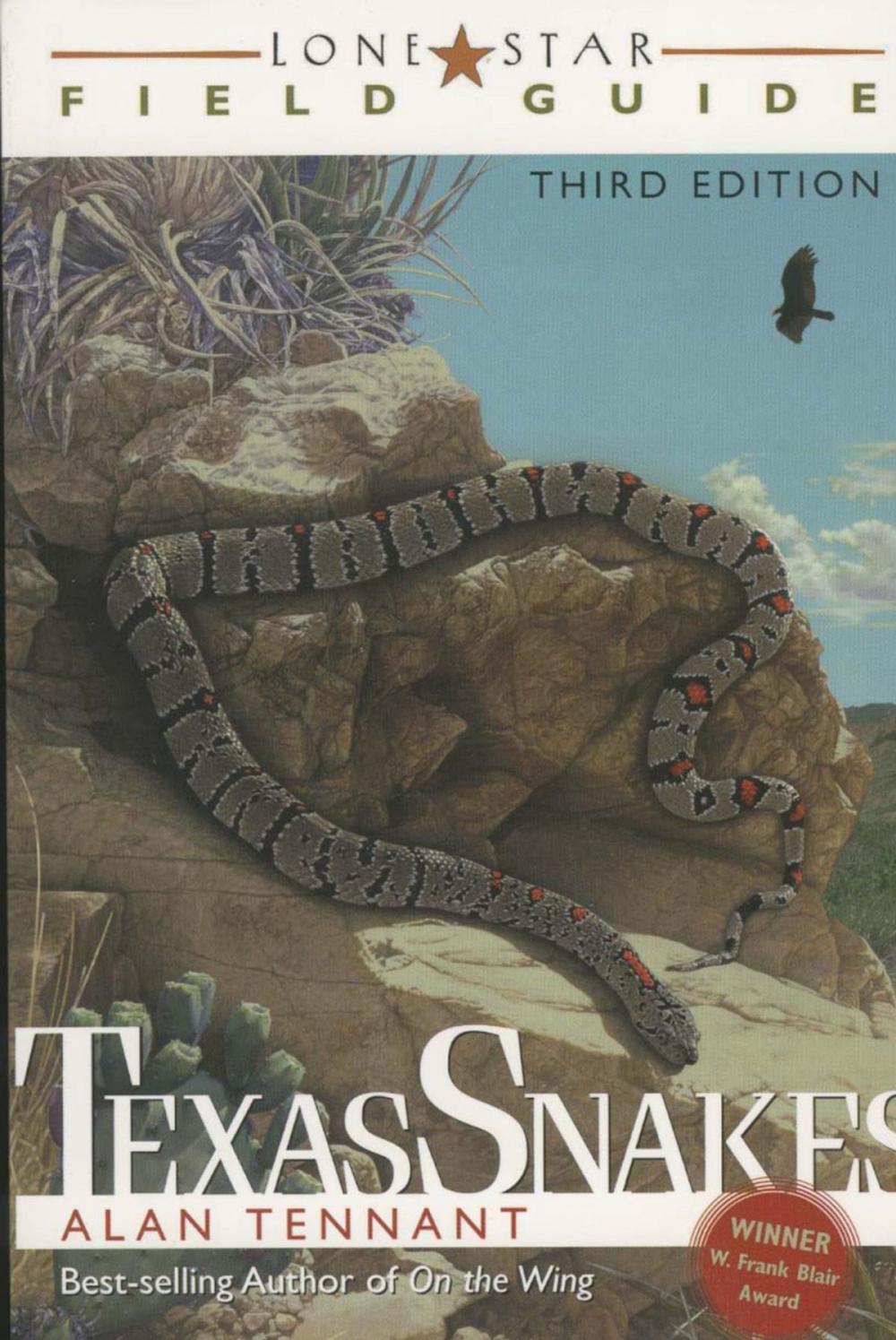 Big bigCover of Lone Star Field Guide to Texas Snakes