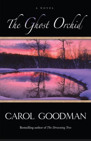 Cover of the book The Ghost Orchid by Ezra Barany