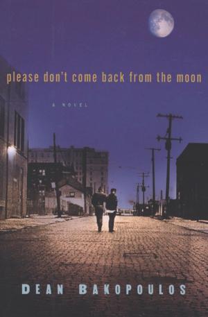 Cover of the book Please Don't Come Back from the Moon by Richard Brautigan