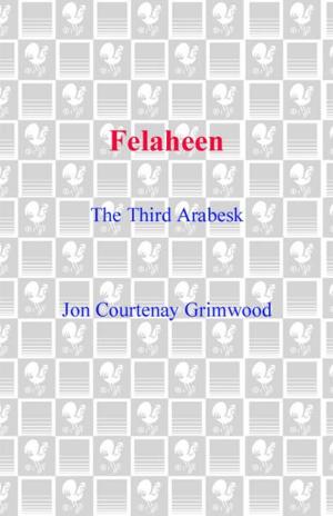 Cover of the book Felaheen by Alan Dean Foster