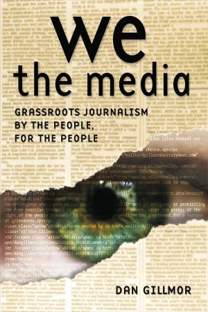 Cover of the book We the Media by Helmut Schuster