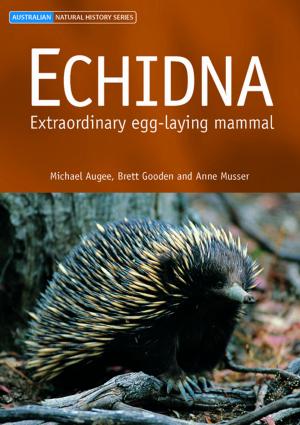 Cover of the book Echidna by D Donato, P Wilkins, G Smith, L Alford