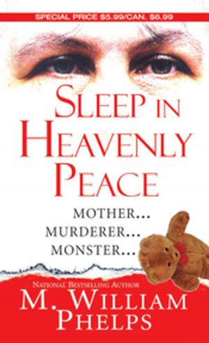 Cover of the book Sleep In Heavenly Peace by Brett Cogburn