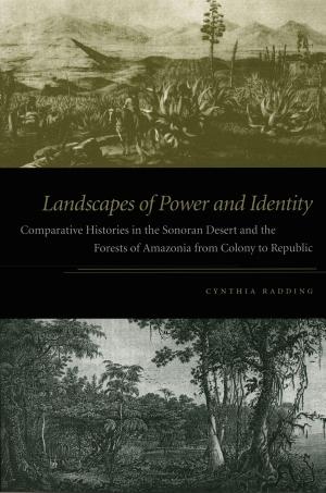 Cover of the book Landscapes of Power and Identity by Heather Henson