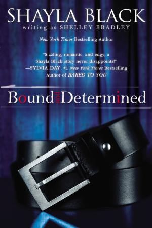 Cover of the book Bound and Determined by Paul Glovinsky, Art Spielman
