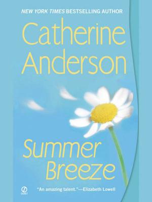 Cover of the book Summer Breeze by Sally Goldenbaum