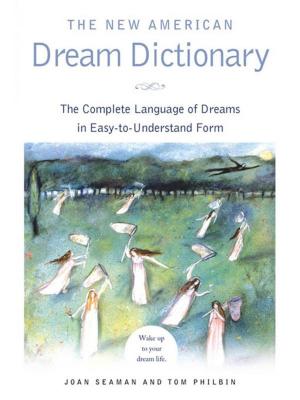 Cover of the book The New American Dream Dictionary by Jon Sharpe, John Edwards Ames