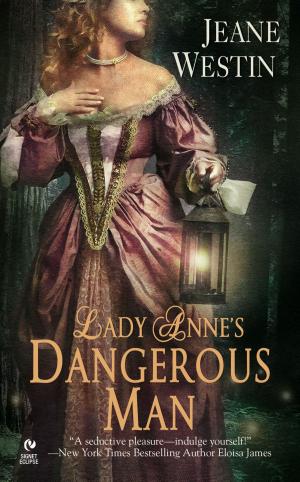 Cover of the book Lady Anne's Dangerous Man by Linda Shenton-Matchett