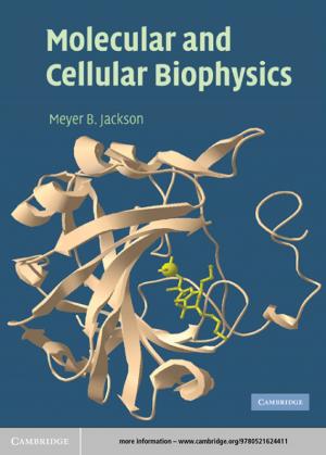 Cover of the book Molecular and Cellular Biophysics by Anna Stetsenko