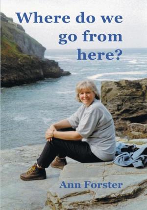 Cover of the book Where Do We Go from Here? by Dr. Carl R. Stekelenburg