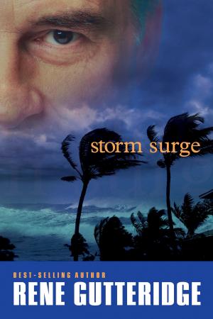 Cover of the book Storm Surge by Craig Bennett Hallenstein