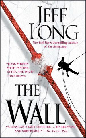 Cover of the book The Wall by Lynda La Plante