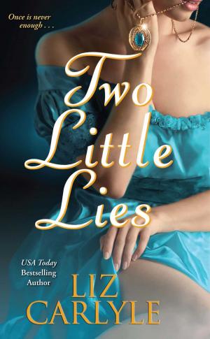 Cover of the book Two Little Lies by Pamela Kay Noble Brown