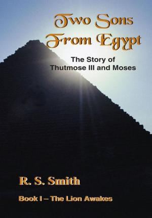 Cover of the book Two Sons from Egypt by Sister Sage