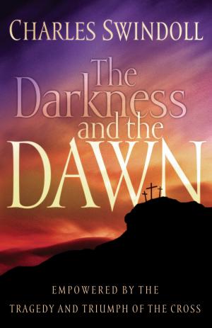 Cover of the book The Darkness and the Dawn by Elizabeth Byler Younts