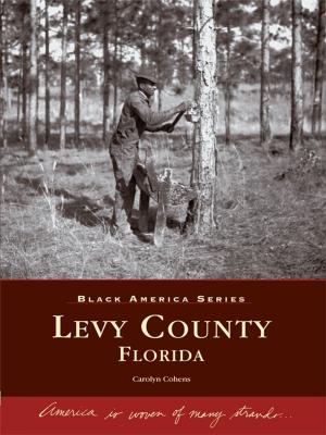 Cover of the book Levy County, Florida by Carol O'Keefe Wilson