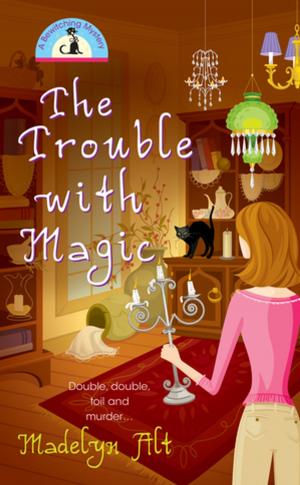 Cover of the book The Trouble With Magic by Kim Severson