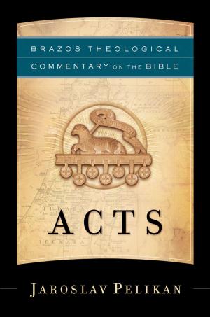 Cover of the book Acts (Brazos Theological Commentary on the Bible) by Carl Raschke