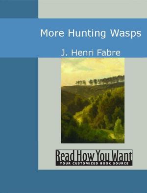 Book cover of More Hunting Wasps