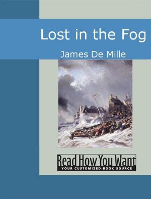 Cover of the book Lost In The Fog by D.L. Gardner