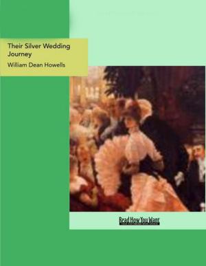 Cover of the book Their Silver Wedding Journey by Arthur Conan Doyle