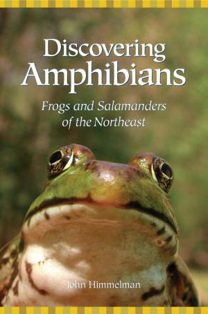 Book cover of Discovering Amphibians