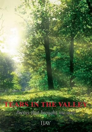 Cover of the book Tears in the Valley by Lee Wells