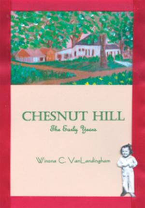 Cover of the book Chesnut Hill by Richard John Kosciejew