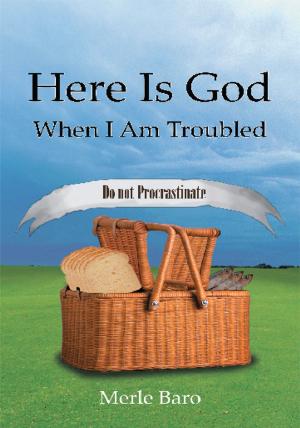 Cover of the book Here Is God When I Am Troubled by Jay Hope