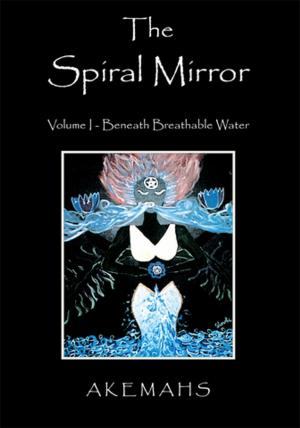 Cover of the book The Spiral Mirror by Benny Joe Diaz