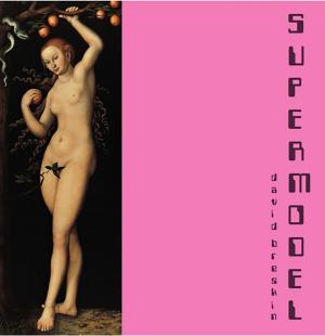 Cover of the book Supermodel by Deborah Johnson