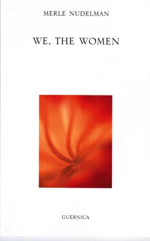 Cover of the book We, The Women by David Solway