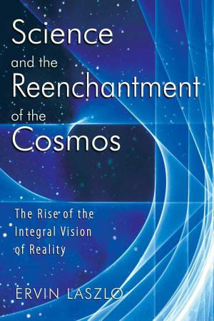 Cover of the book Science and the Reenchantment of the Cosmos by Angelo Distefano