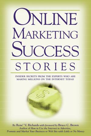 bigCover of the book Online Marketing Success Stories by 