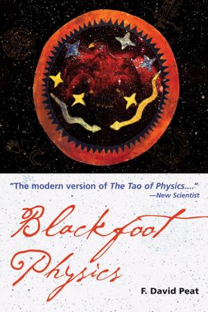 Cover of the book Blackfoot Physics by Susan Shumsky
