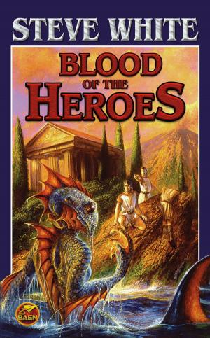 Cover of the book Blood of the Heroes by D.J. Butler