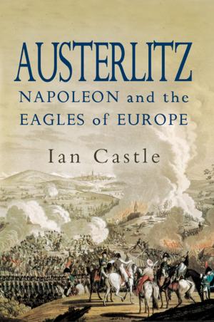 Cover of the book Austerlitz by David Hobbs