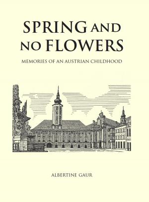 Cover of the book Spring and No Flowers by Katarzyna Marciniak, Kamil Turowski