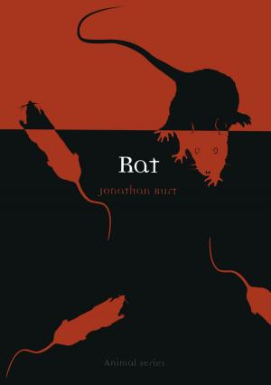 Cover of the book Rat by Mary E. Davis