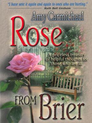 Cover of the book Rose from Brier by Andrew Murray