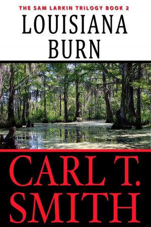Cover of Louisiana Burn: The Sam Larkin Trilogy Book 2