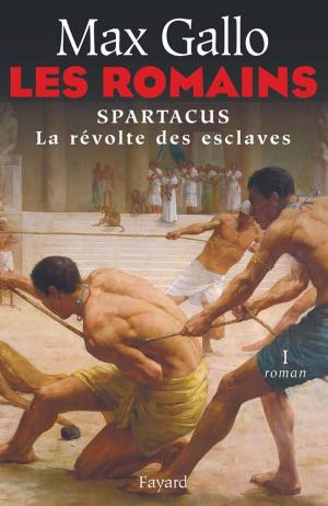 Cover of the book Les Romains by Claude Allègre, Denis Jeambar