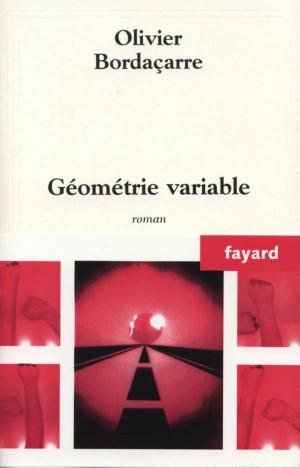 Cover of the book Géométrie variable by Jean Vautrin