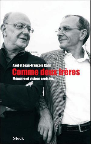 Cover of the book Comme deux frères. Mémoire et visions croisées by Yves Michaud