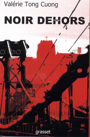 Cover of the book Noir dehors by Dan Franck
