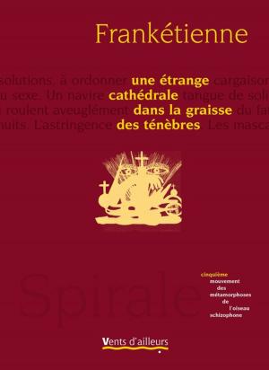 Cover of the book Une étrange cathédrale dans la graisse des ténèbres by Serge Amisi